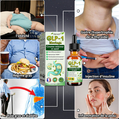 HHVB® GLP-1 Gouttes Minceur à la Moringa ✅ Brûleur de graisse 100 % naturel, développé par des experts en perte de poids. Pour une silhouette affinée et une santé renforcée.