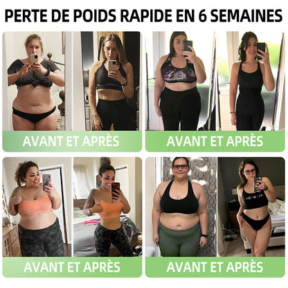 HHVB® GLP-1 Gouttes Minceur à la Moringa ✅ Brûleur de graisse 100 % naturel, développé par des experts en perte de poids. Pour une silhouette affinée et une santé renforcée.
