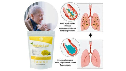 Mullein Leaf™ Élimine 99 % des Impuretés Pulmonaires