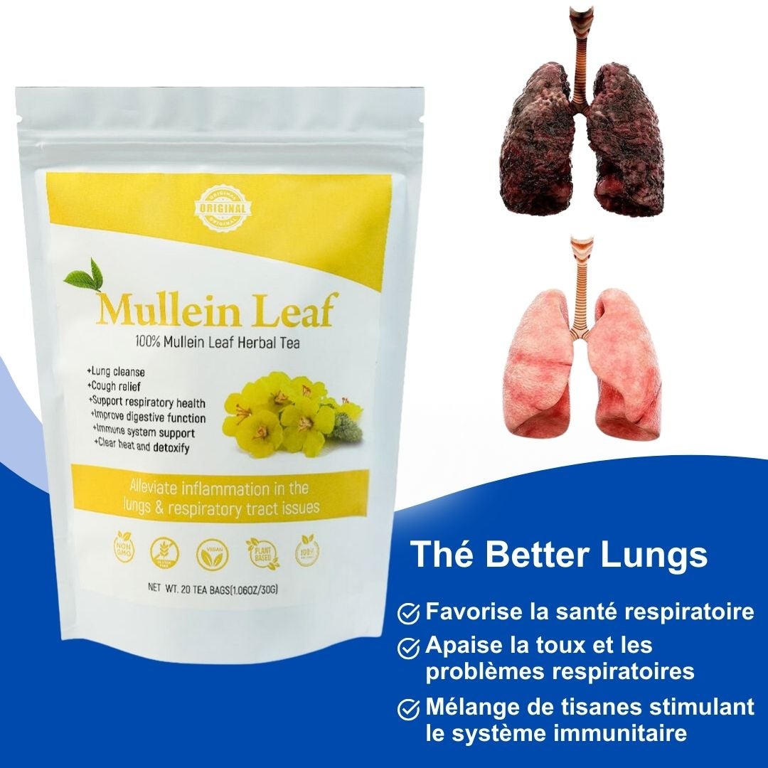 Mullein Leaf™ Élimine 99 % des Impuretés Pulmonaires