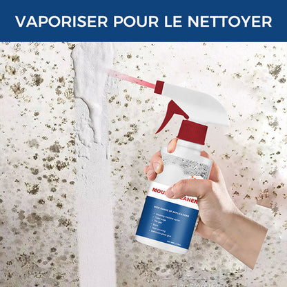 MOUSSE NETTOYANTE ANTI-MOISISSURE