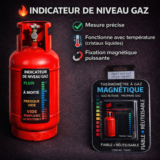 Thermomètre magnétique cylindrique -Réutilisable