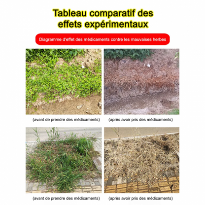 Herbicide Radical 🌱❌ : Éliminez Définitivement Racines Mortes et Pourries