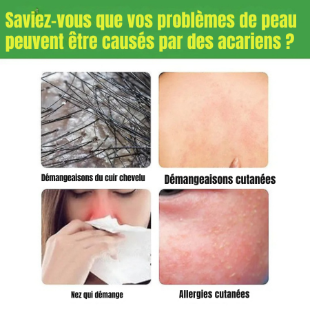 Kit d'élimination naturelle des acariens * 6 Pcs