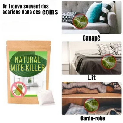 Kit anti-acariens - Tueur d'acariens naturel