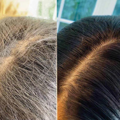 Shampoing Colorant Anti Cheveux Blancs