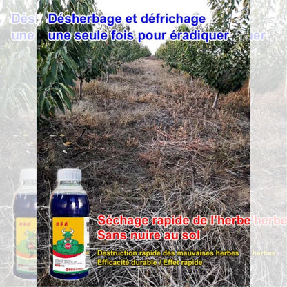 Herbicide Radical 🌱❌ : Éliminez Définitivement Racines Mortes et Pourries