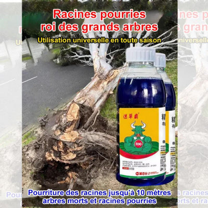 Herbicide Radical 🌱❌ : Éliminez Définitivement Racines Mortes et Pourries