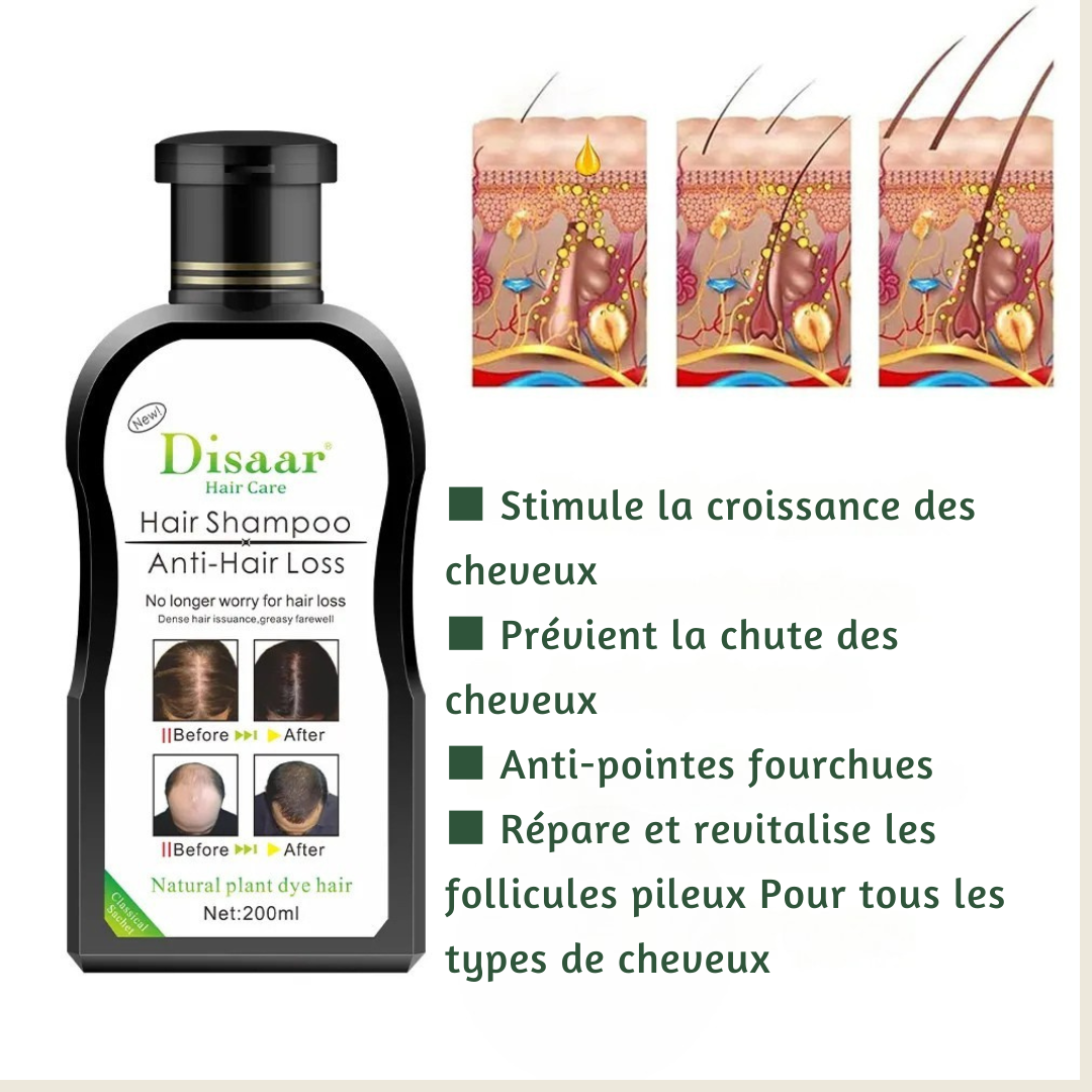 Révélez Toute la Puissance de Votre Look : Cheveux et Barbe Sublimés !