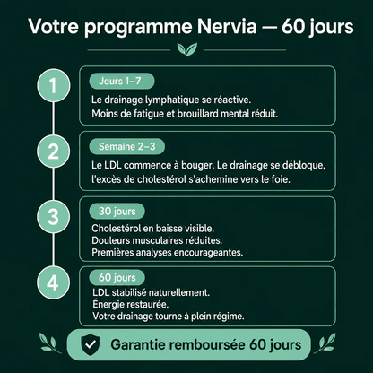 Gélules de Drainage Lymphatique · Transformation totale en 60 jours !